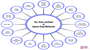 How to Stay Motivated While Studying: Tips for Students 2025