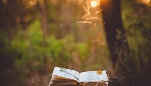 5 beautiful ways to say rest in peace